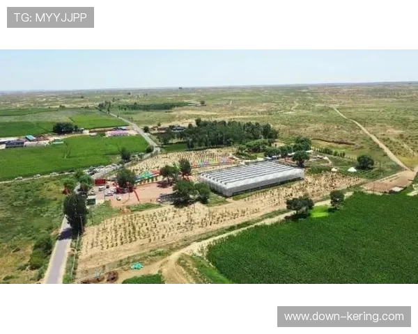 昂素镇19个嘎查中15个配备排球场地,使用预约火爆